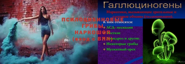 дмт Пестово