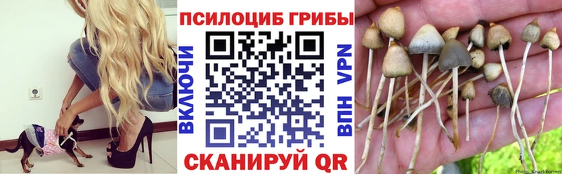 Галлюциногенные грибы Magic Shrooms Красавино